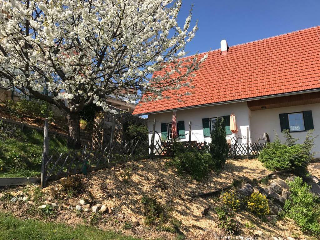 Kellerstoeckl Goigner Villa Kitzeck im Sausal Dış mekan fotoğraf