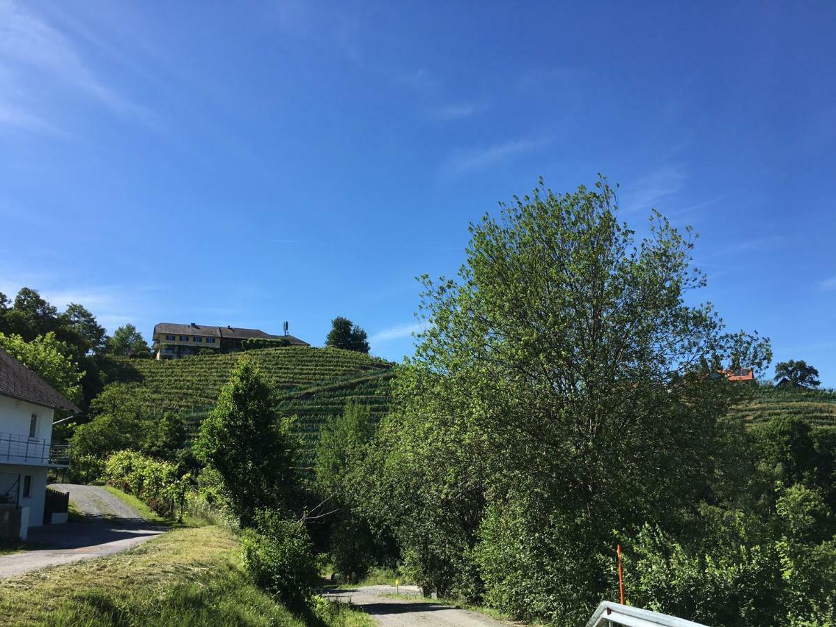 Kellerstoeckl Goigner Villa Kitzeck im Sausal Dış mekan fotoğraf